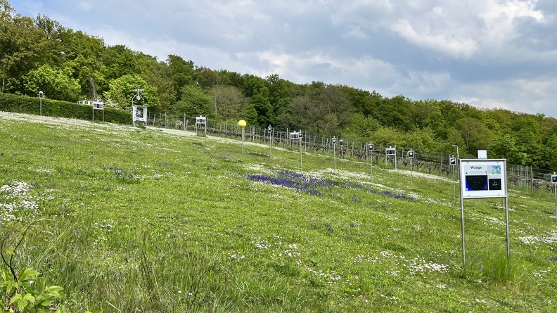 22-05-02 14-01-21 0730.jpg